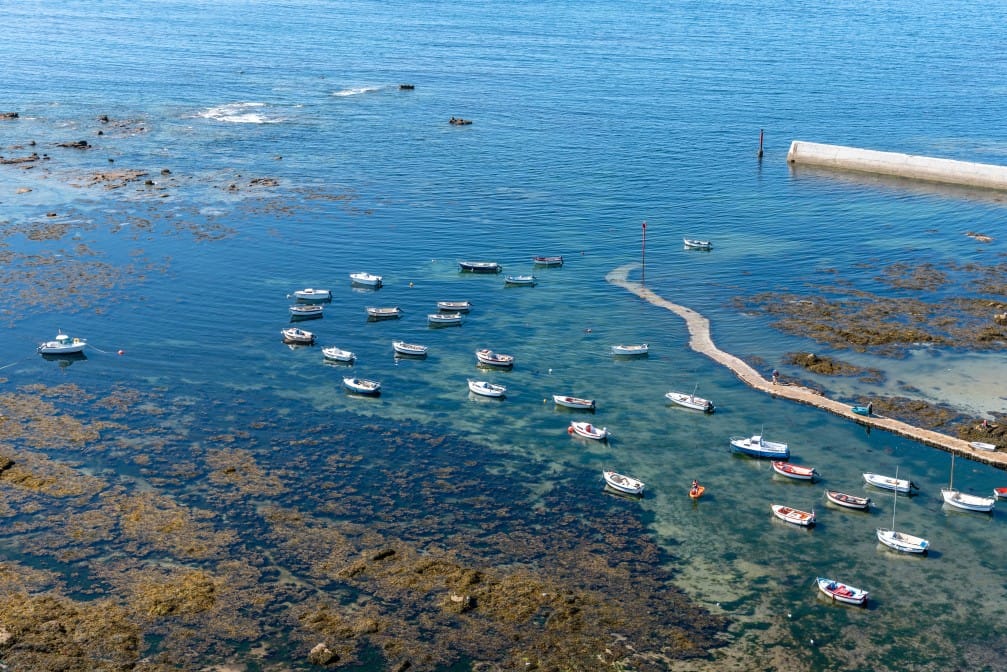 Aerial view of the harbour of point
