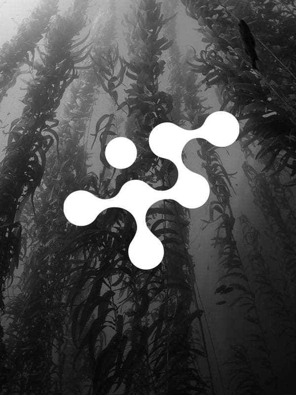 Seaweed with logo