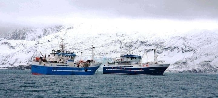 Two large fishing vessels working side by side in cold northern waters with snow covered mountains in the background